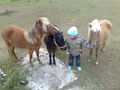 Fabian und seine Ponys!!! 45651354