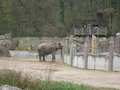 Tiergarten Schönbrunn 18643441