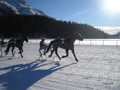 St. Moritz 2007/08 34260503