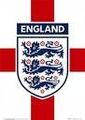 England 73885777