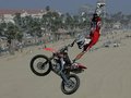 FREESTYLE MOTOCROSS 25762666