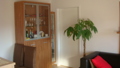 *****WOHNUNG NEU***** 34445174