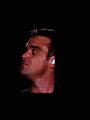 robbie williams live in vienna 14366017