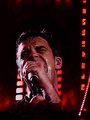 robbie williams live in vienna 14366467