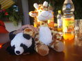 Raffi und Panda - Freunde fürs Leben 65322572