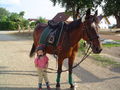 Magdalena beim Reiten 39063002