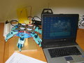 hexapod 28820414