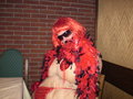 Fasching 2007 16536526