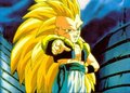 Dragonball 15541403