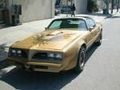 Pontiac Firebirds 40113257