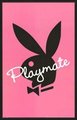 PLAYBOY 15470749