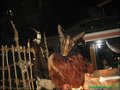 Krampusse 11954159