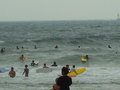 Big Wave Beach 11445090