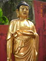 10.000 Budda Statuen 11728364