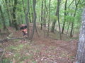 Enduro Croatien 09 67923704