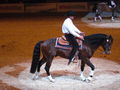 Fest der Pferde 2008 54046560