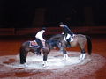 Fest der Pferde 2008 54046576