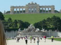 Schönbrunn Tiergarten 40848206