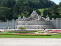 Schönbrunn Tiergarten 40848262