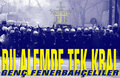 FENER the best fuck the rest 11614049