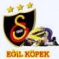 galatasaray ve feneri nasil nasil koyu 11252662