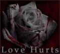 Love Hurts 18092250