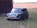 Mini MK III 13140676