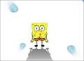 SpOnGebOB & CooOO°° 24663432