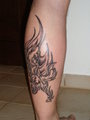 Tattoo 14350024