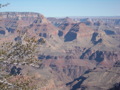 Grand canyon 2008 32670381