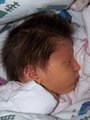 Unsere kleine Anna 19.06.2007 24484193