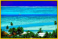 Moorea 2006 14922752