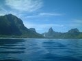 Moorea 2006 14923169