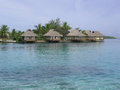 Moorea 2006 14923170