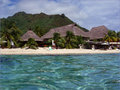 Moorea 2006 14924153