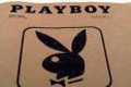 playboy 14425494