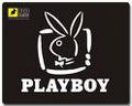 playboy 14425741