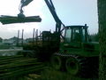 Forwarder fohrn beim Tatzreiter 53451778