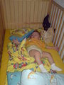 Mein Sohn David 22909401