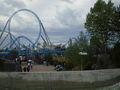 Europapark ....  61454900