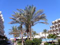 Urlaub Hurghada 66900473