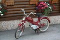 Puch Mopeds... 11281355