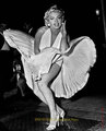 Marilyn Monroe 11363387