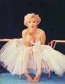 Marilyn Monroe 11363421