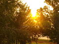 Unwetter mit Sonnenschein 65343591