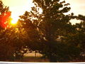 Unwetter mit Sonnenschein 65343605