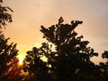 Unwetter mit Sonnenschein 65343678