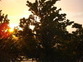 Unwetter mit Sonnenschein 65343687
