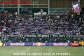 Forza viola 12376517