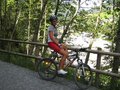 Mountainbike in Saalbach 11967210